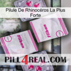 Pilule De Rhinocéros La Plus Forte 33